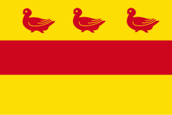 Sombreffe vlag